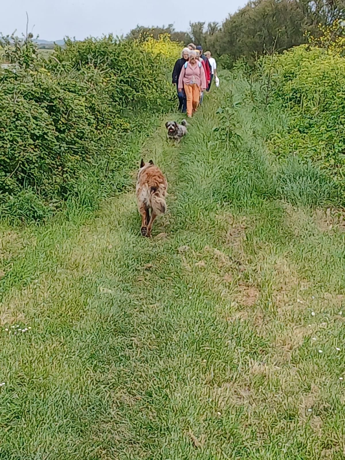 Photo d'illustration